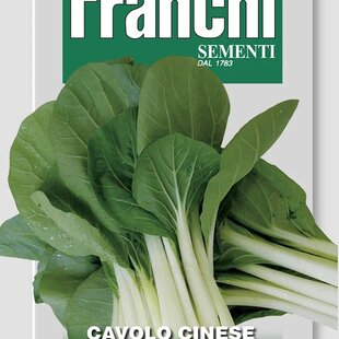 Čínska kapusta - PAC CHOY