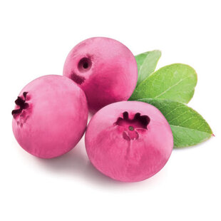 Čučoriedka Pink Lemonade ružová, výška 40/60 cm, v črepníku Vaccinum corymbosum Pink Lemonade