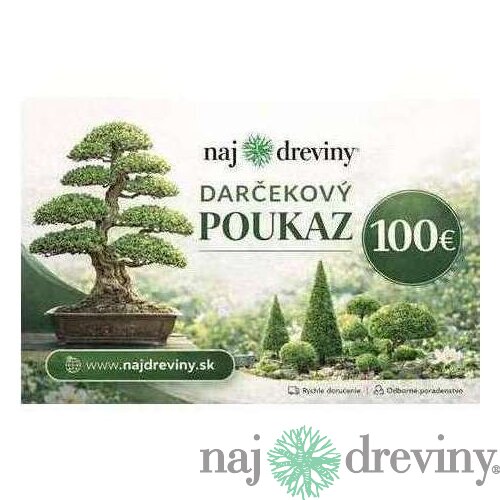 Darčeková poukážka 100€