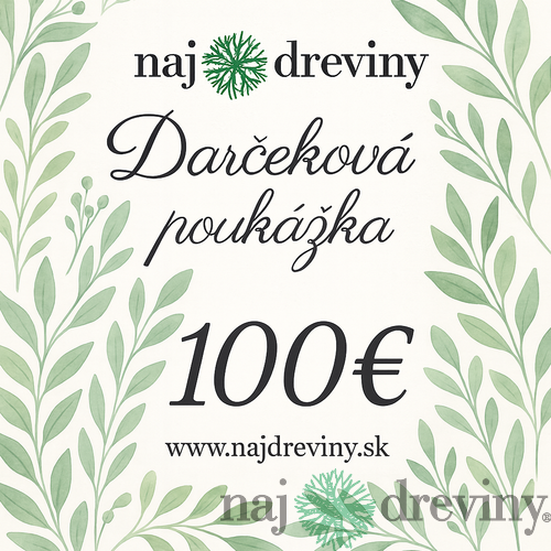 Darčeková poukážka 100€