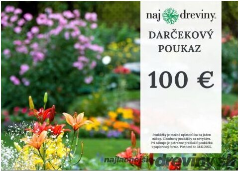 Darčeková poukážka 100€
