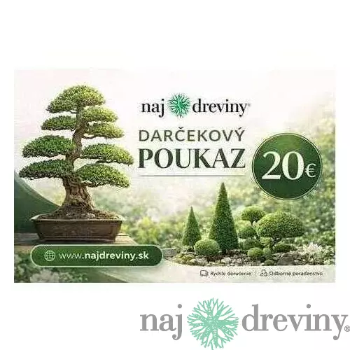 Darčeková poukážka 20€