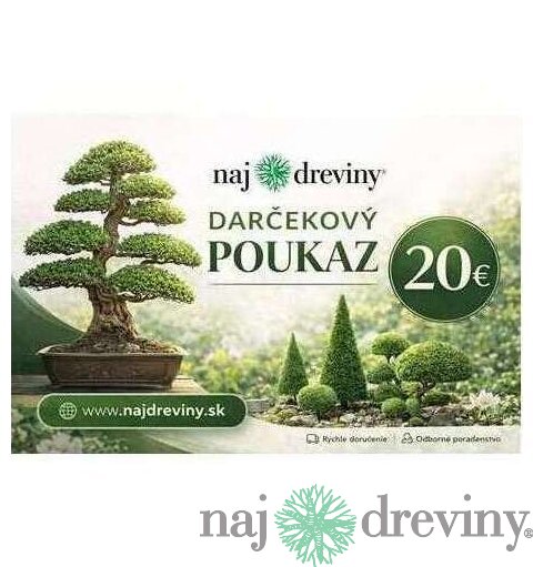 Darčeková poukážka 20€