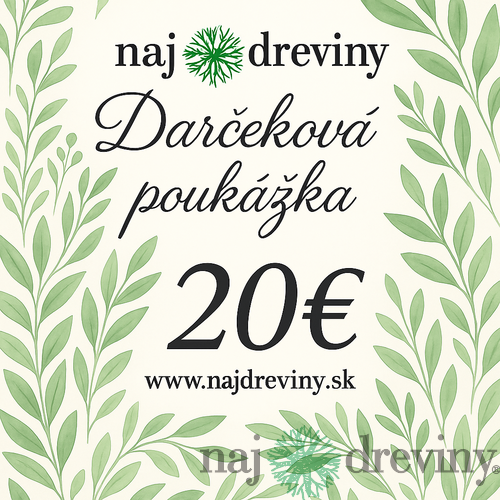 Darčeková poukážka 20€
