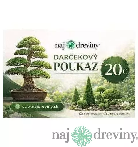 Darčeková poukážka 20€