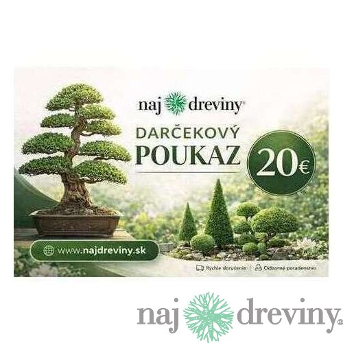 Darčeková poukážka 20€