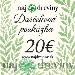 Darčeková poukážka 20€