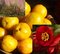Dulovec superba Crimson and Gold 20/40 cm, v črepníku Chaenomeles superba Crimson and Gold