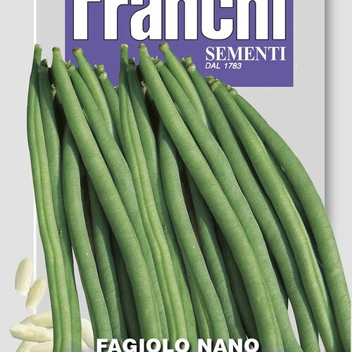 Fazuľa nízka - BOBY BIANCO
