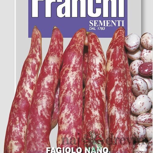 Fazuľa nízka - BORLOTTO LINGUA DI FUOCO - semená