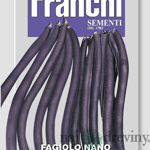 Fazuľa nízka - PURPLE KING - semená