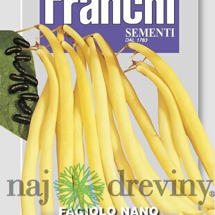 Fazuľa nízka - ROCQUENCOURT - semená, 45 gramov