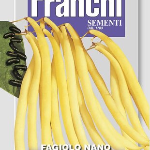 Fazuľa nízka - ROCQUENCOURT - semená, 45 gramov