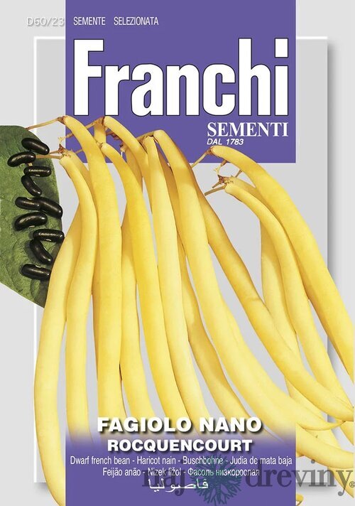 Fazuľa nízka - ROCQUENCOURT - semená, 45 gramov