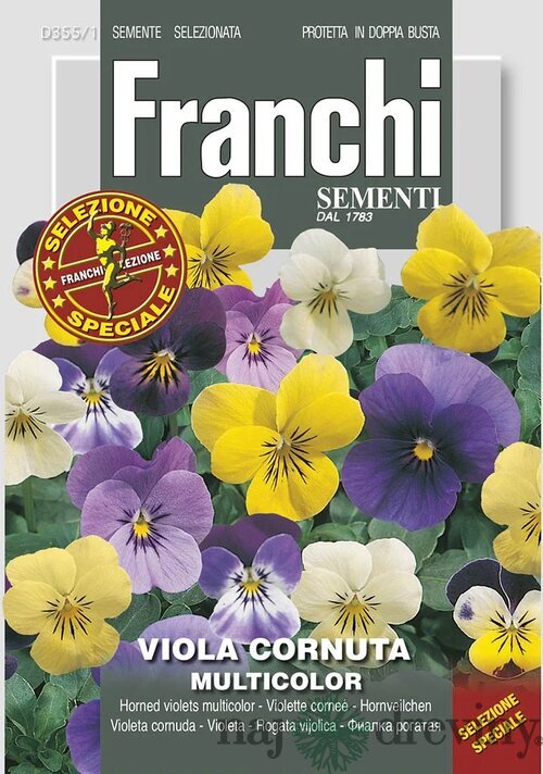 Fialka - Viola rohatá - viacfarebná