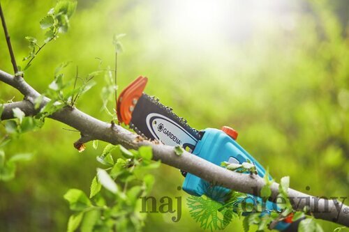 Gardena Akumulátorová teleskopická vyvetvovacia pílka TCS 20/18V P4A - súprava na okamžité použitie 14770-20