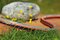 Gardena Hadica Flex Comfort 19 mm (3/4“), 25 m 18053-20