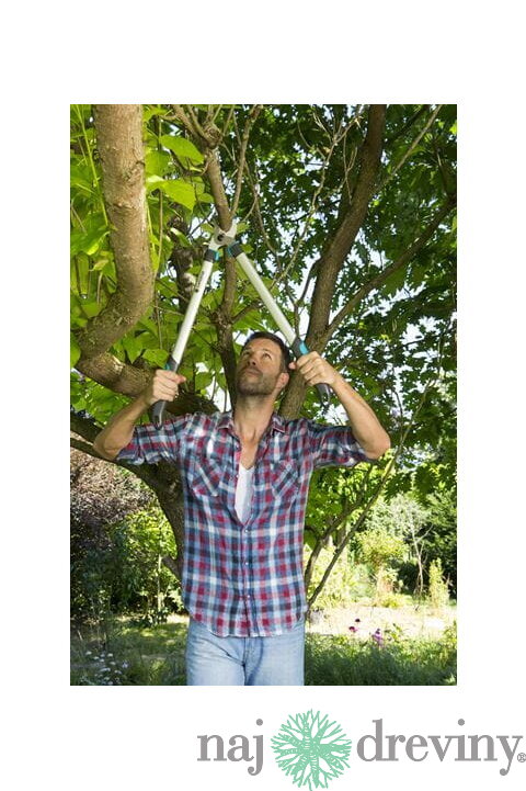 Gardena Nožnice na konáre EasyCut 680 B 12003-20