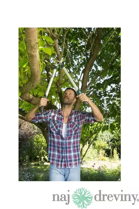 Gardena Nožnice na konáre EasyCut 680 B 12003-20