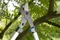 Gardena Nožnice na konáre EnergyCut 600 B 12006-20