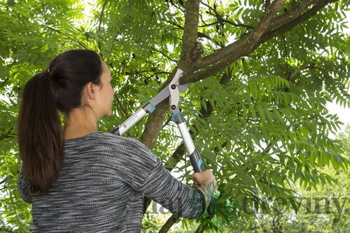 Gardena Nožnice na konáre EnergyCut 600 B 12006-20