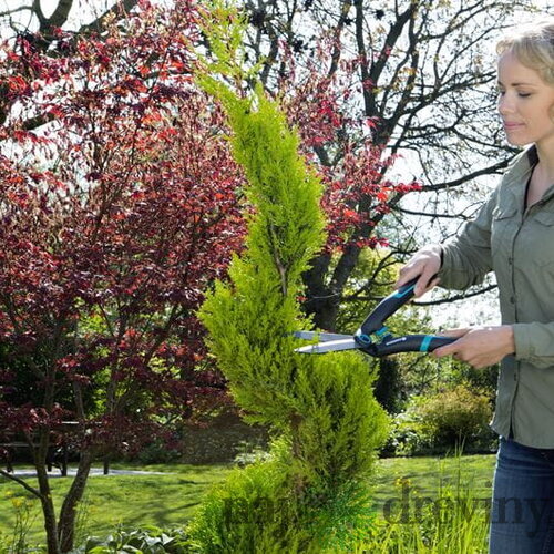 Gardena Nožnice na živý plot PrecisionCut 12302-20