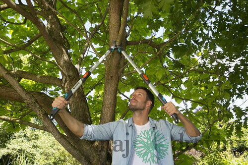 Gardena Teleskopické nožnice na konáre TeleCut 650-900 B 12009-20