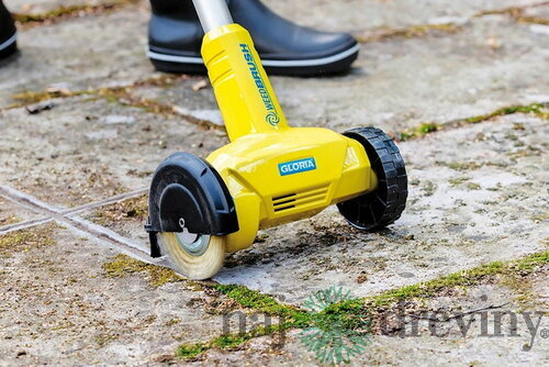 GLORIA WEEDBRUSH LI-ON