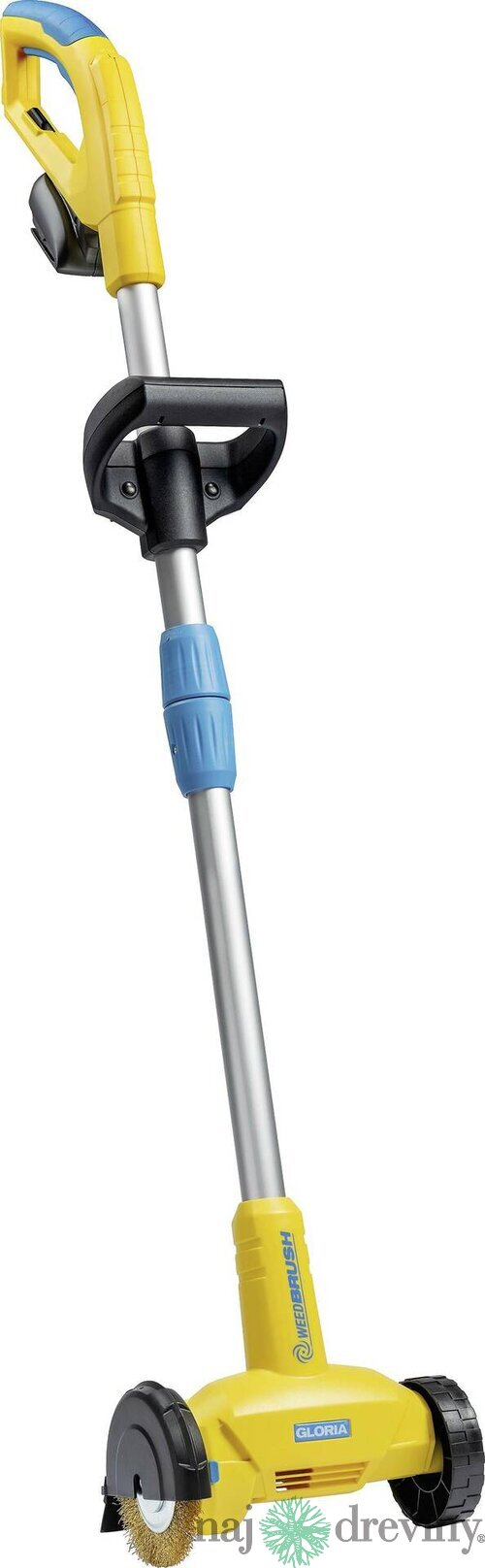 GLORIA WEEDBRUSH LI-ON