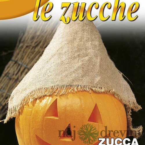 Haloweenska tekvica