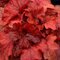 Heuchera Fire Alarm, výška 15/25 cm, v črepníku Heuchera Fire Alarm