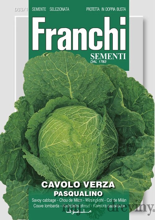 Hlávkový kel - PASQUALINO