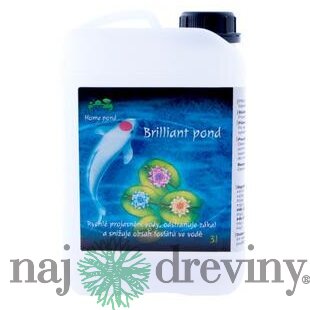 Home Pond Briliant Pond 3 l