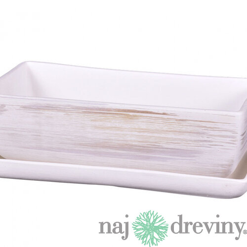 Hrantík KAKTUS WHITE + podmiska keramický matný 30cm