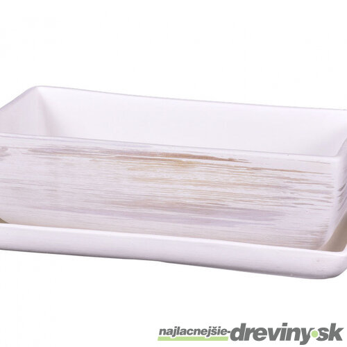 Hrantík KAKTUS WHITE + podmiska keramický matný 30cm