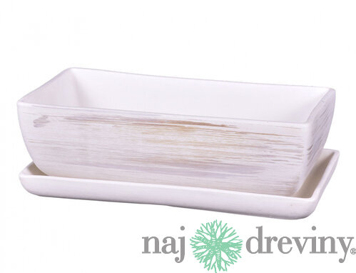 Hrantík KAKTUS WHITE + podmiska keramický matný 30cm