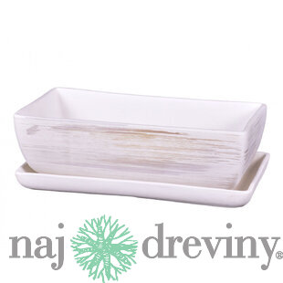 Hrantík KAKTUS WHITE + podmiska keramický matný 30cm