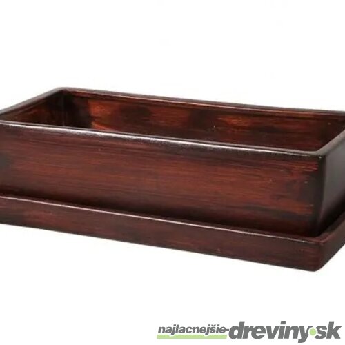 Hrantík KAKTUS WOOD + podmiska keramický matný 30cm