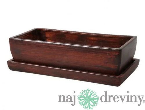 Hrantík KAKTUS WOOD + podmiska keramický matný 30cm