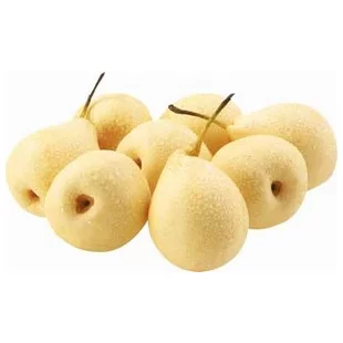 Hruška japonská Tse-Lii (Nashi), výška 100/150 cm, v črepníku, podpník Dula S4 Pyrus pyrifolia Tse-Lii