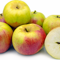 Jabloň Cesarz Wilhelm, výška 100/150 cm, v črepníku, podpník M26 Malus Domestica Cesarz Wilhelm