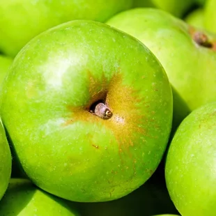 Jablon Kosztela, výška 140/160 cm, v črepníku 5l Malus domestica Kosztela