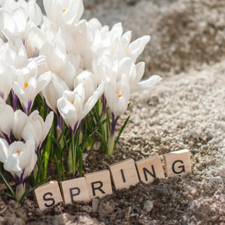 Jarný predpredaj je spustený