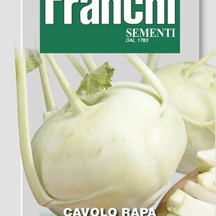 Kaleráb - DI VIENNA BIANCO