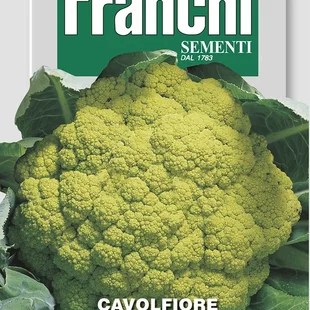 Karfiól - VERDE di MACERATA
