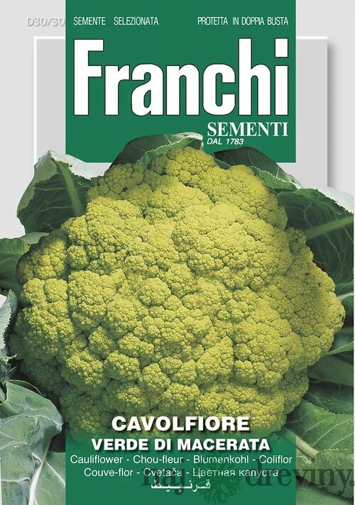 Karfiól - VERDE di MACERATA
