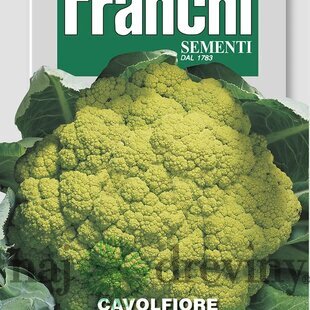 Karfiól - VERDE di MACERATA