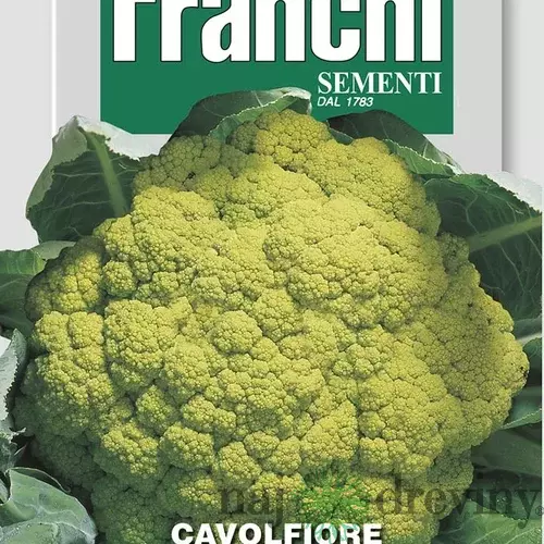 Karfiól - VERDE di MACERATA