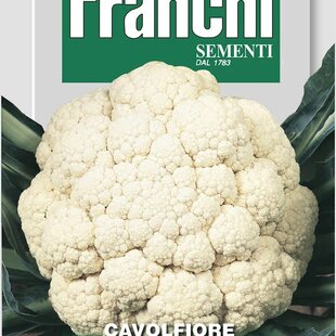 Karfiól - VERONA TARDIVO - semená, 4 gramy