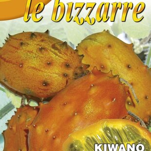 KIWANO - semená